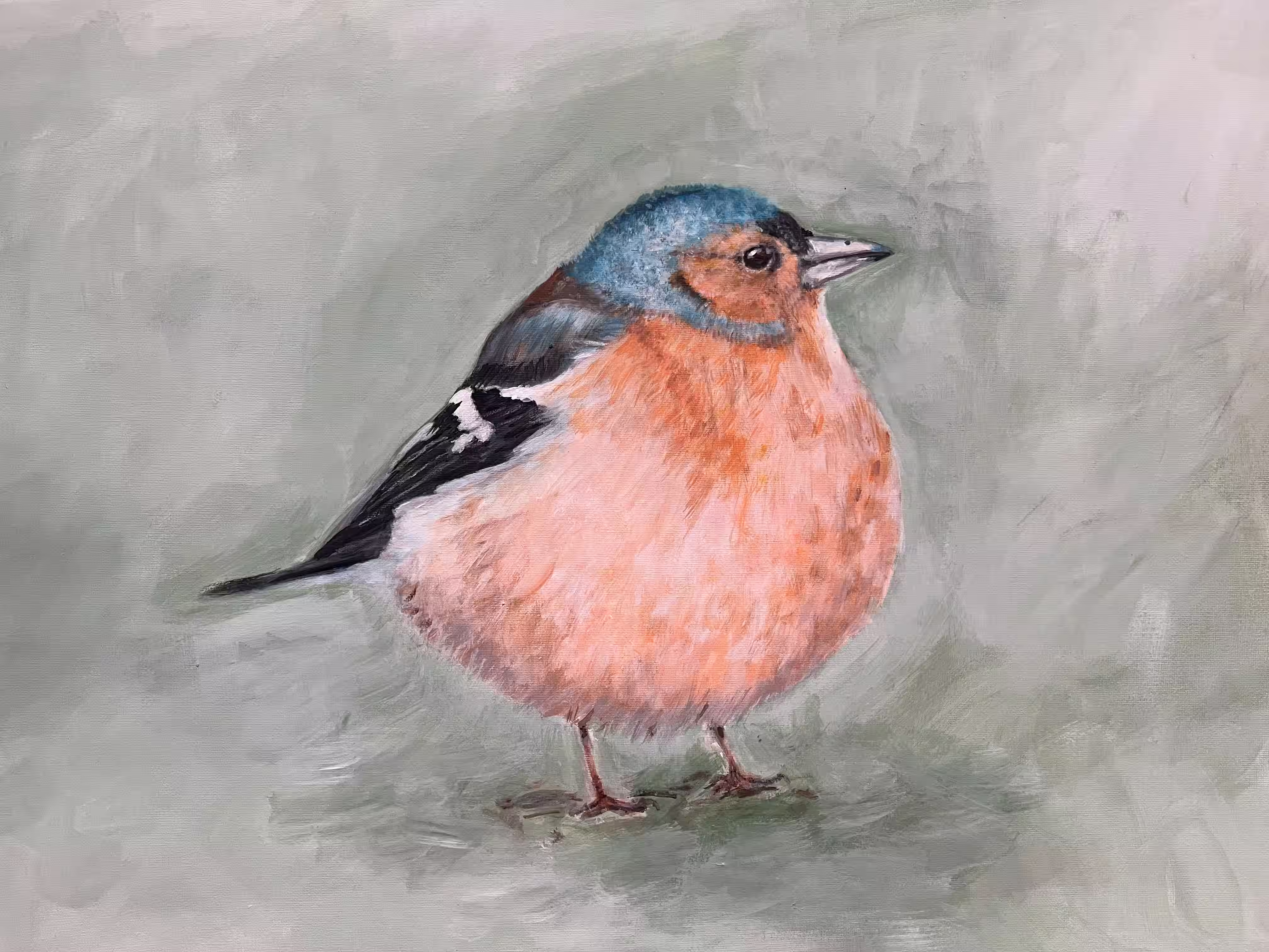 Dikke appelvink - Acryl op canvas Dikke appelvink - Acryl op canvas